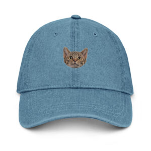 Denim Hat   "WhiskerPeek"