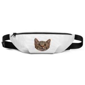 Fanny Pack