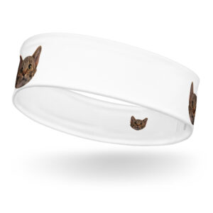 Headband