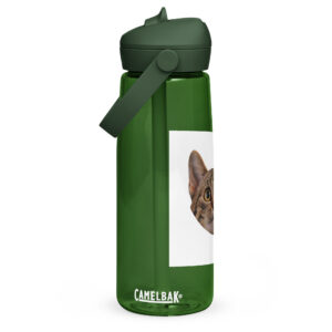 Flip straw water bottle