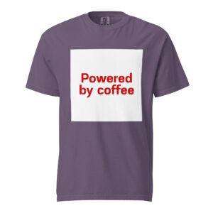 Garment-dyed heavyweight T-shirt (unisex fit)